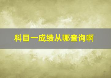 科目一成绩从哪查询啊