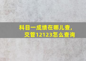 科目一成绩在哪儿查,交管12123怎么查询