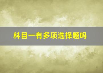 科目一有多项选择题吗