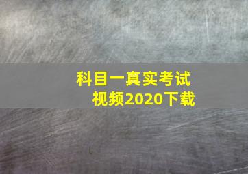 科目一真实考试视频2020下载