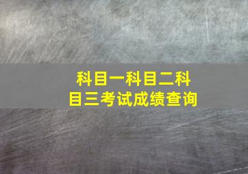 科目一科目二科目三考试成绩查询