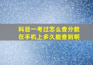 科目一考过怎么查分数在手机上多久能查到啊