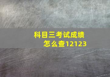 科目三考试成绩怎么查12123