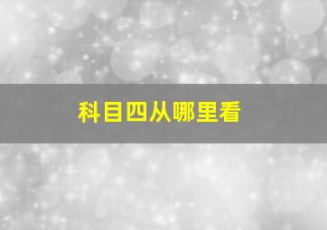 科目四从哪里看