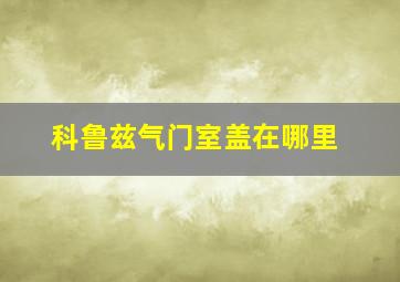 科鲁兹气门室盖在哪里