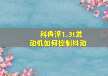 科鲁泽1.3t发动机如何控制抖动