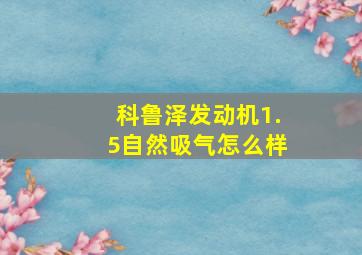 科鲁泽发动机1.5自然吸气怎么样