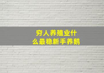 穷人养殖业什么最稳新手养鹅