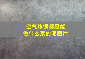 空气炸锅都是能做什么菜的呢图片