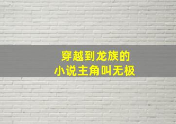 穿越到龙族的小说主角叫无极