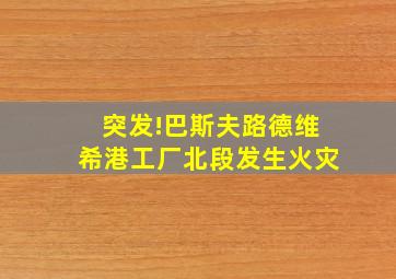 突发!巴斯夫路德维希港工厂北段发生火灾