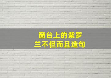 窗台上的紫罗兰不但而且造句