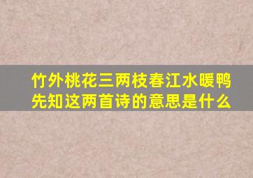 竹外桃花三两枝春江水暖鸭先知这两首诗的意思是什么