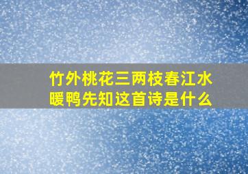 竹外桃花三两枝春江水暖鸭先知这首诗是什么