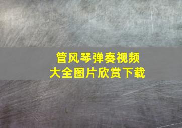 管风琴弹奏视频大全图片欣赏下载