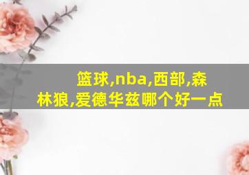 篮球,nba,西部,森林狼,爱德华兹哪个好一点