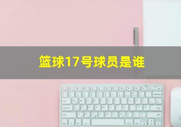 篮球17号球员是谁