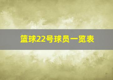 篮球22号球员一览表