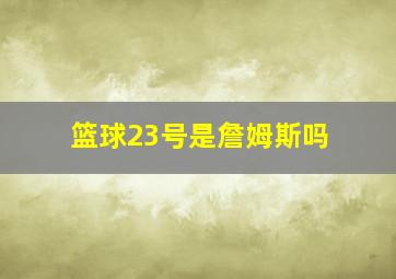 篮球23号是詹姆斯吗