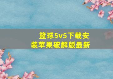 篮球5v5下载安装苹果破解版最新