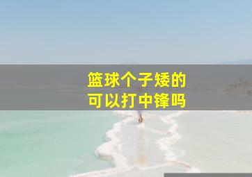 篮球个子矮的可以打中锋吗