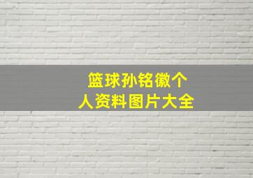 篮球孙铭徽个人资料图片大全