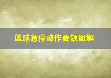 篮球急停动作要领图解