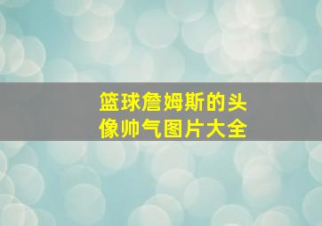 篮球詹姆斯的头像帅气图片大全