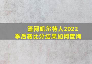 篮网凯尔特人2022季后赛比分结果如何查询