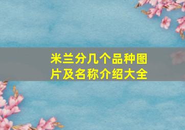 米兰分几个品种图片及名称介绍大全