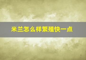 米兰怎么样繁殖快一点