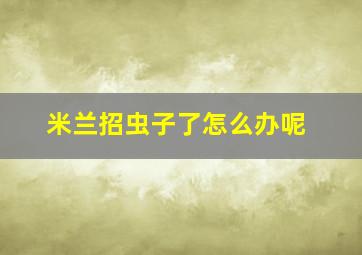 米兰招虫子了怎么办呢