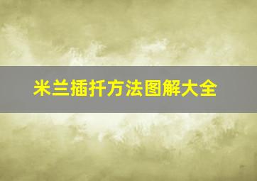 米兰插扦方法图解大全