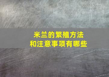 米兰的繁殖方法和注意事项有哪些