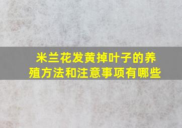 米兰花发黄掉叶子的养殖方法和注意事项有哪些