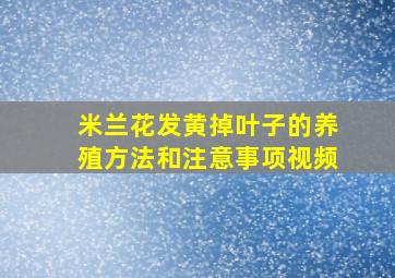 米兰花发黄掉叶子的养殖方法和注意事项视频