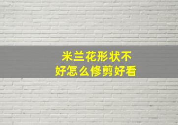 米兰花形状不好怎么修剪好看