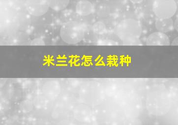 米兰花怎么栽种