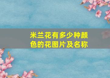 米兰花有多少种颜色的花图片及名称