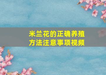 米兰花的正确养殖方法注意事项视频