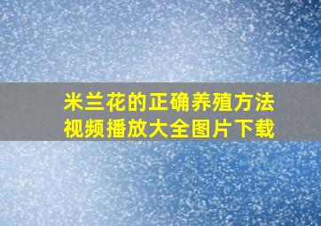 米兰花的正确养殖方法视频播放大全图片下载