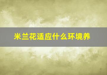 米兰花适应什么环境养