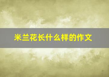 米兰花长什么样的作文