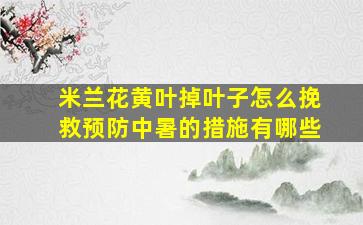 米兰花黄叶掉叶子怎么挽救预防中暑的措施有哪些