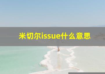 米切尔issue什么意思