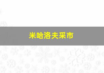 米哈洛夫采市