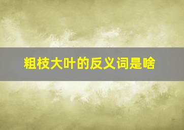 粗枝大叶的反义词是啥