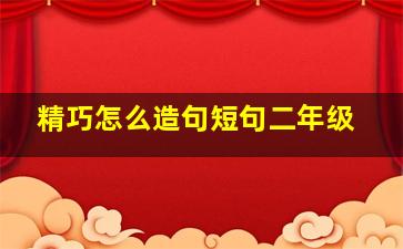 精巧怎么造句短句二年级