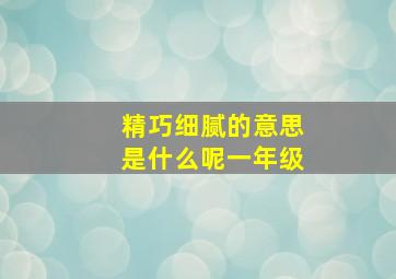 精巧细腻的意思是什么呢一年级