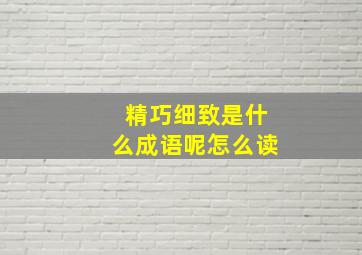 精巧细致是什么成语呢怎么读